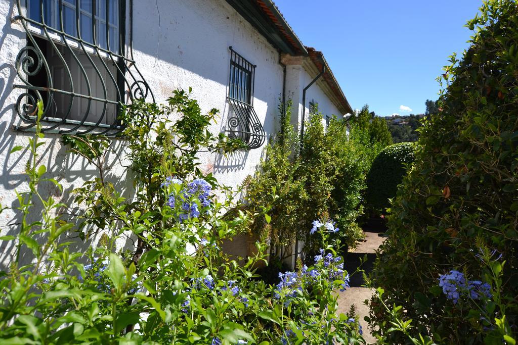 Casa Do Campo - Turismo De Habitacao Bed and Breakfast Celorico De Basto Eksteriør billede